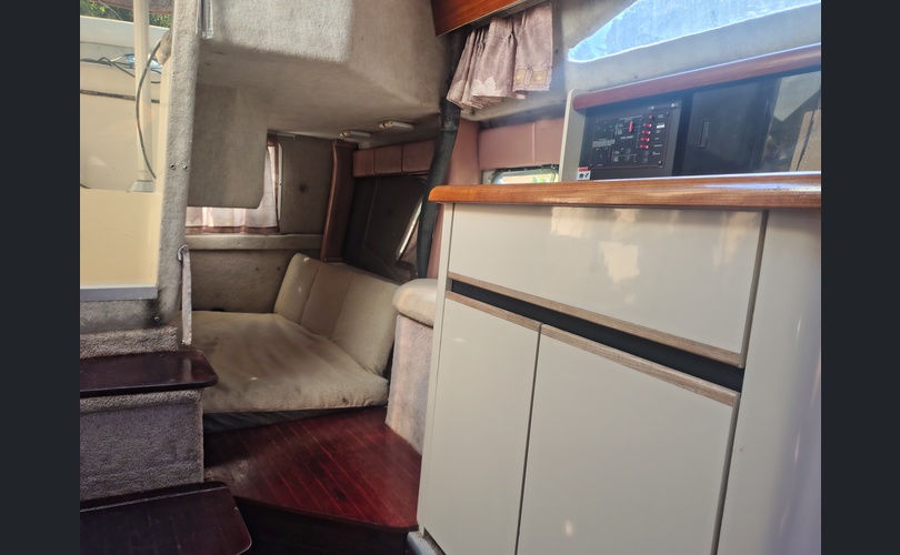 Bayliner 2655 Cierra Sunbridge-kuva-8